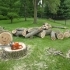 Emergency Tree Removal: What to Do When a Storm Damages Your Trees small image